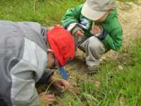 Kinder